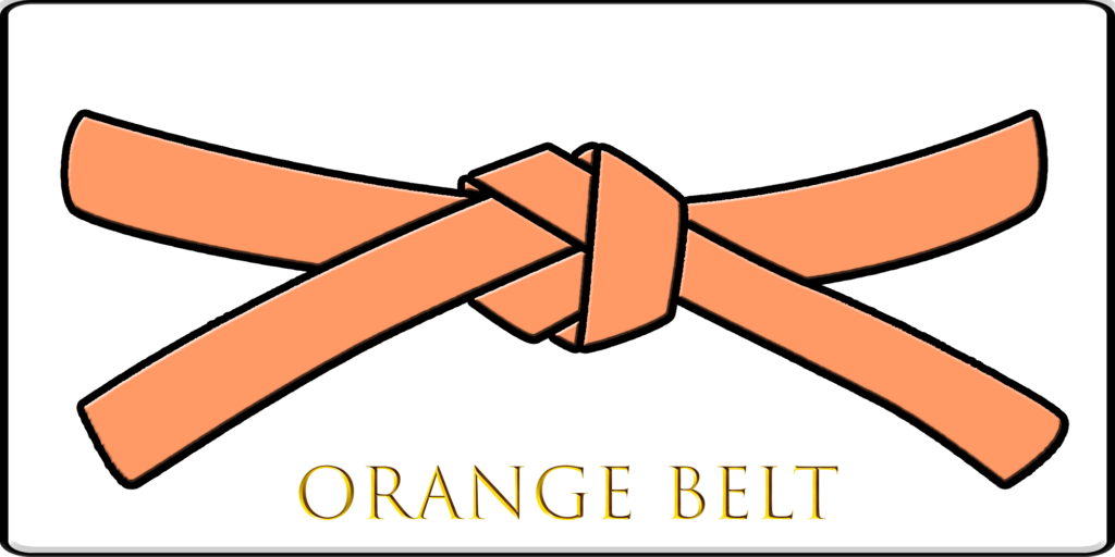 This image has an empty alt attribute; its file name is 02-Orange-Belt-1024x512.png