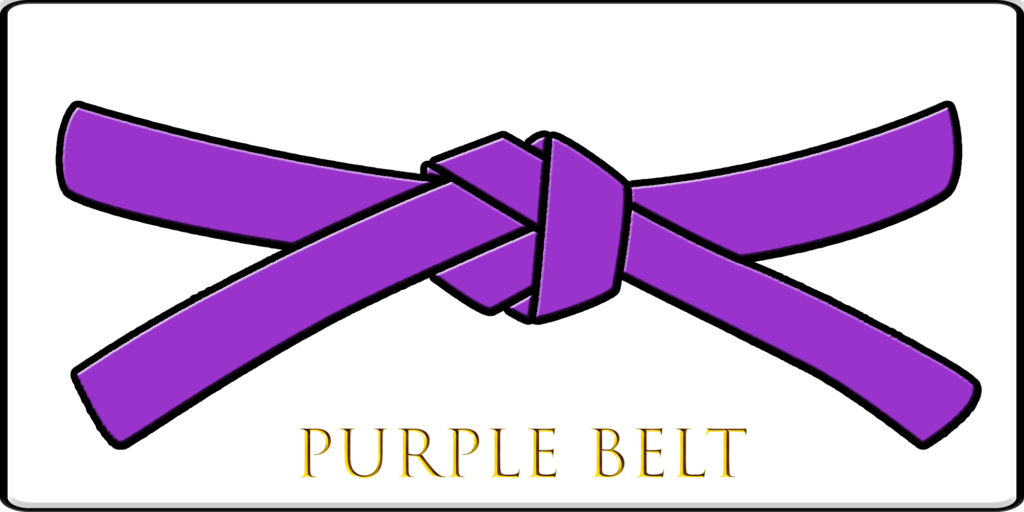 This image has an empty alt attribute; its file name is 03-Purple-Belt-1024x512.png