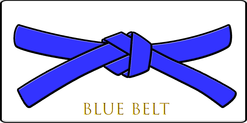 This image has an empty alt attribute; its file name is 04-Blue-Belt-1024x512.png