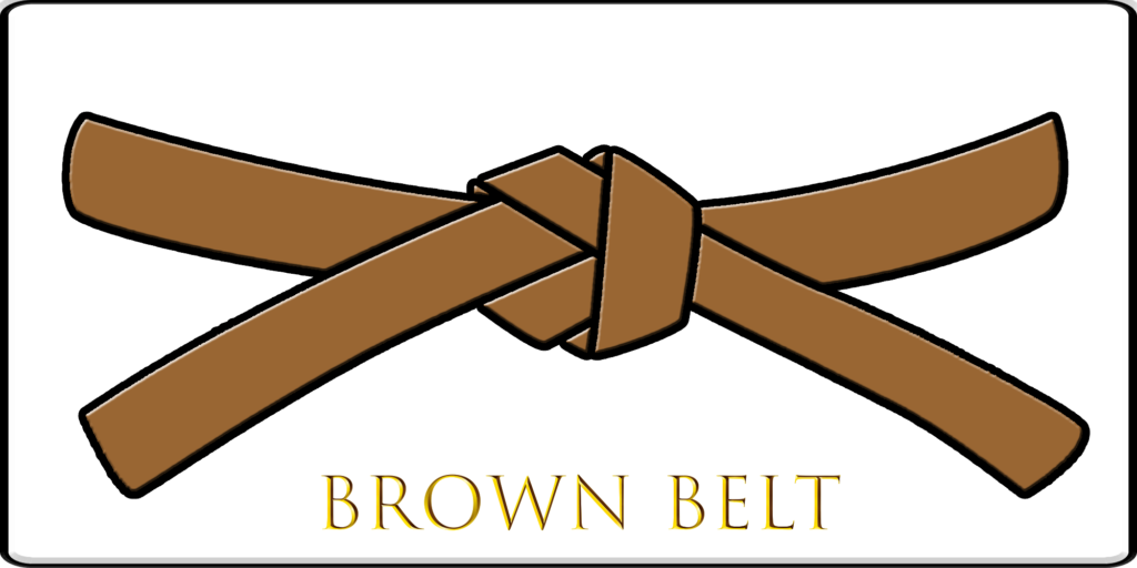 This image has an empty alt attribute; its file name is 06-Brown-Belt-1024x512.png