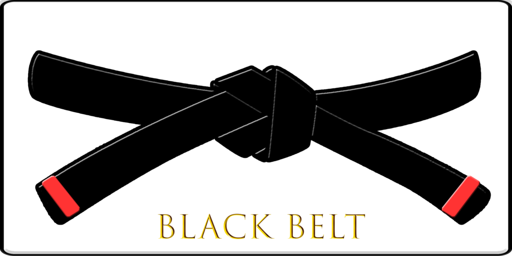 This image has an empty alt attribute; its file name is 07-Black-Belt-1024x512.png